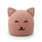 luce notturna gatto