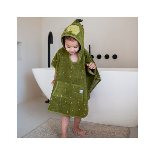 poncho dinosauri