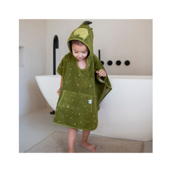 poncho dinosauri