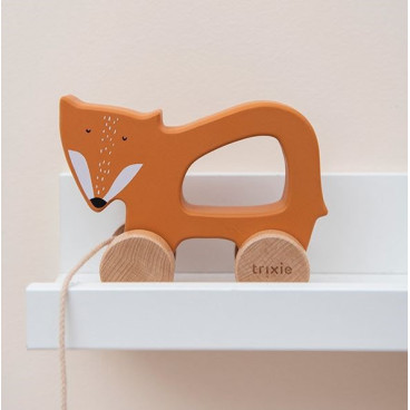 pull along toy