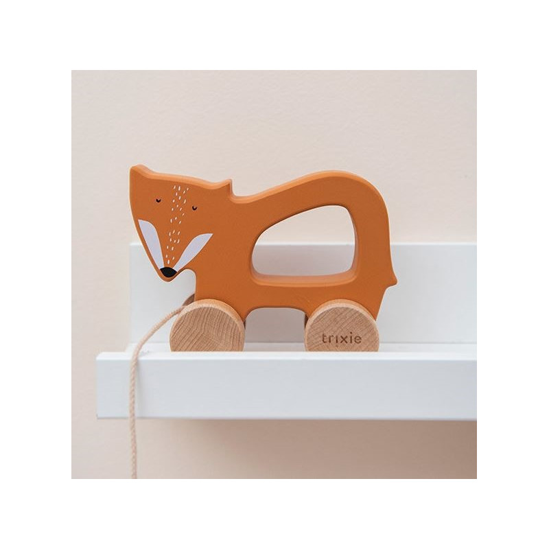 pull along toy