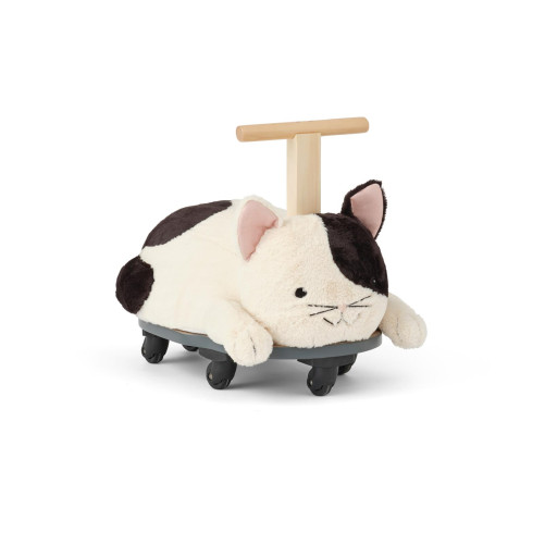 cavalcabile gatto