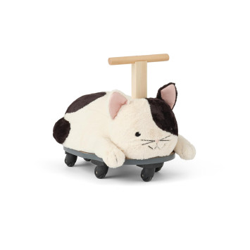 cavalcabile gatto