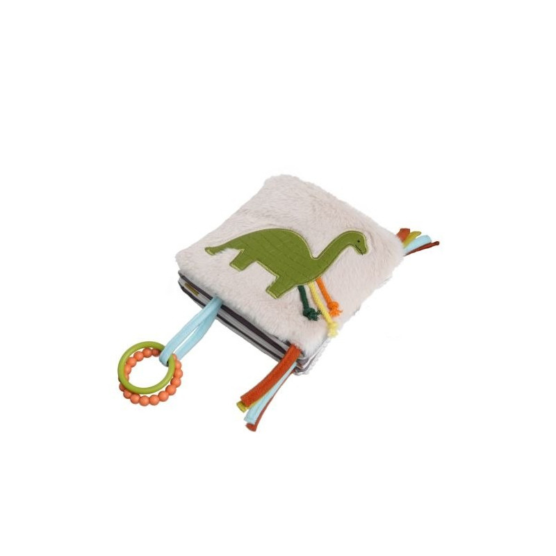 activity book